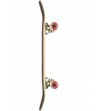 Skate completo GLOBE Kids Environmentalist Micro - Starfish