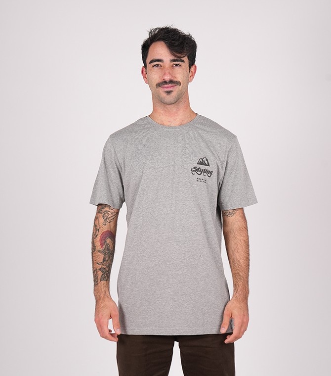 Camiseta STYLING Mountain - Gris vigore