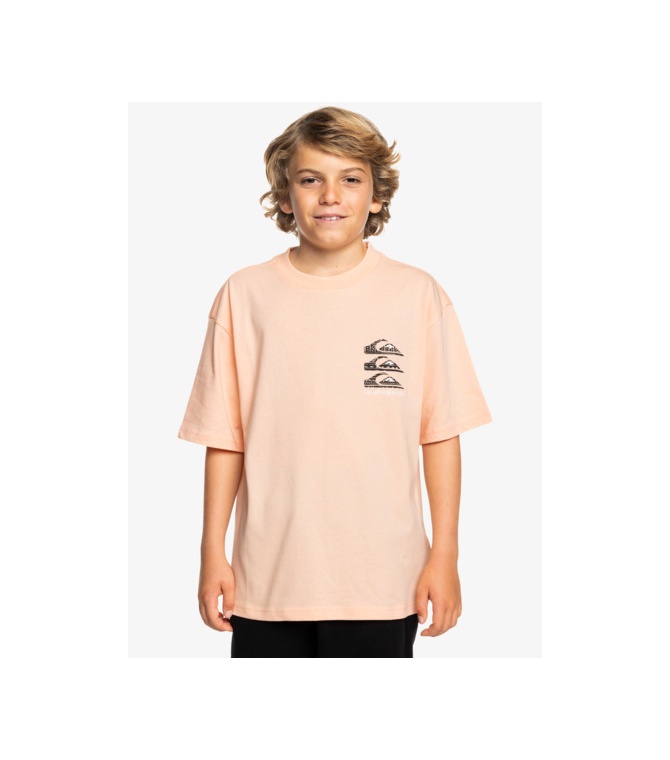 Camiseta Quiksilver Verticalogosyth -Peach Parfait - Solid