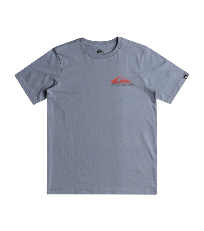 Camiseta Quiksilver Omniwa- Stone