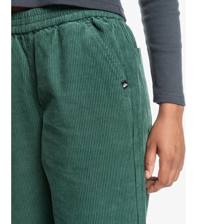 Pantalon QUIKSILVER Unicordelastic - Garden topiary