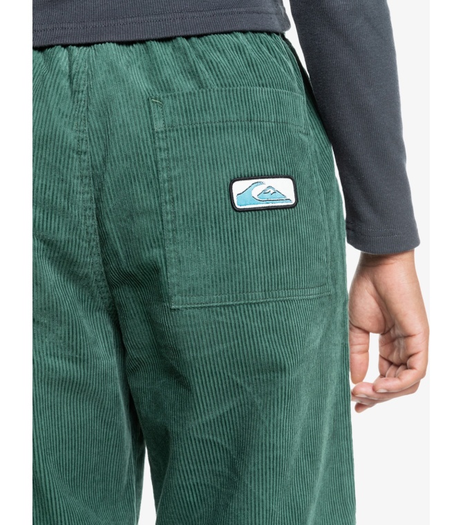 Pantalon QUIKSILVER Unicordelastic - Garden topiary