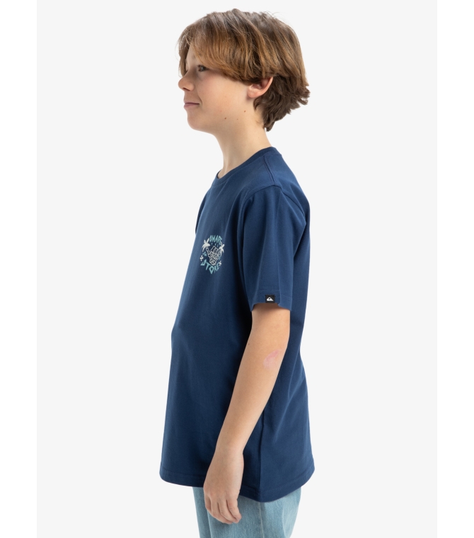 Camiseta QUIKSILVER Ev Share The St (bsw0) - Bsw0