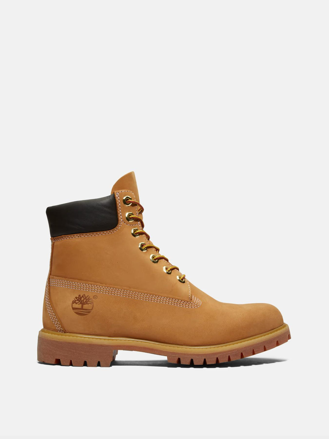 Botas timberland timberland premium 6 inch lace up waterp - wheat