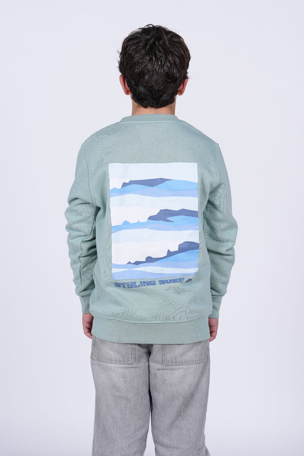 Sudadera Serie - mint loading=