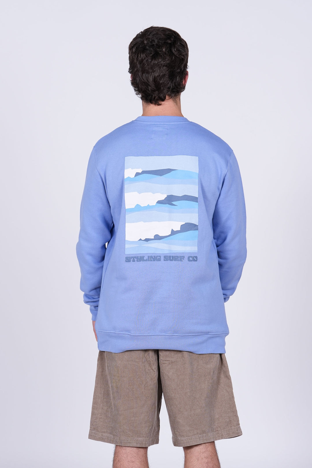 Sudadera Serie Crew - sky